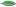 Imagem decorativa para canto de tela em parallax de uma folha